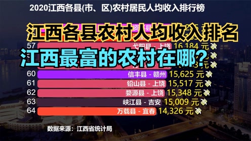 富裕县最新招聘及其多元视角分析