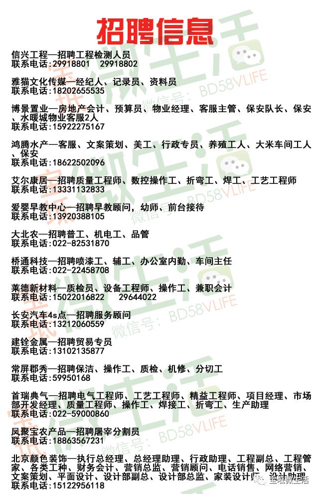 胶北最新招聘信息，时代的脉搏引领就业航标
