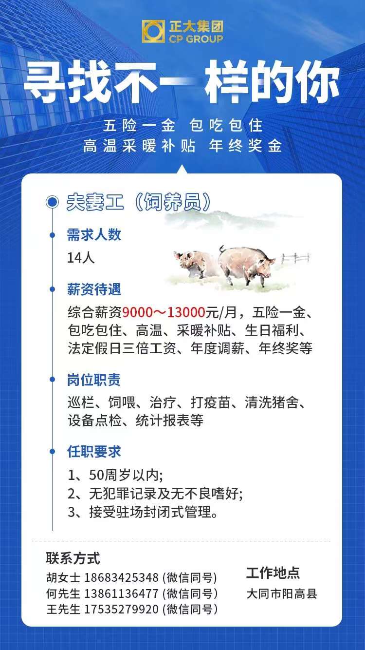 沈阳夫妻工招聘探秘，小巷中的甜蜜事业之旅