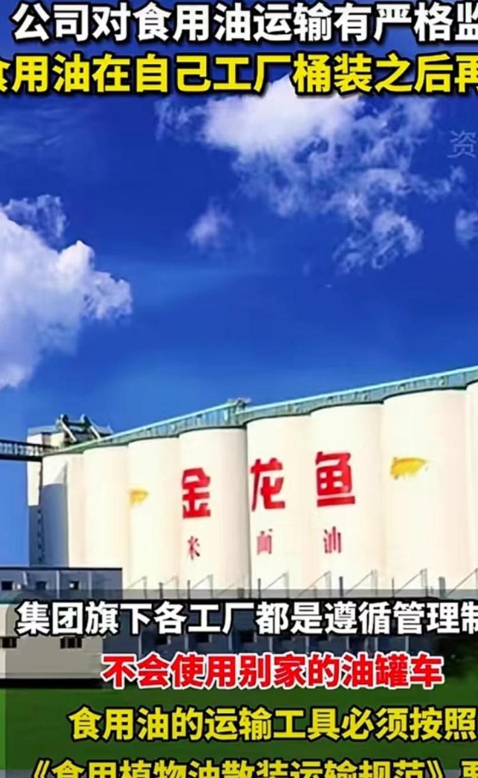 金龙鱼最新动态曝光，深度解析要点聚焦