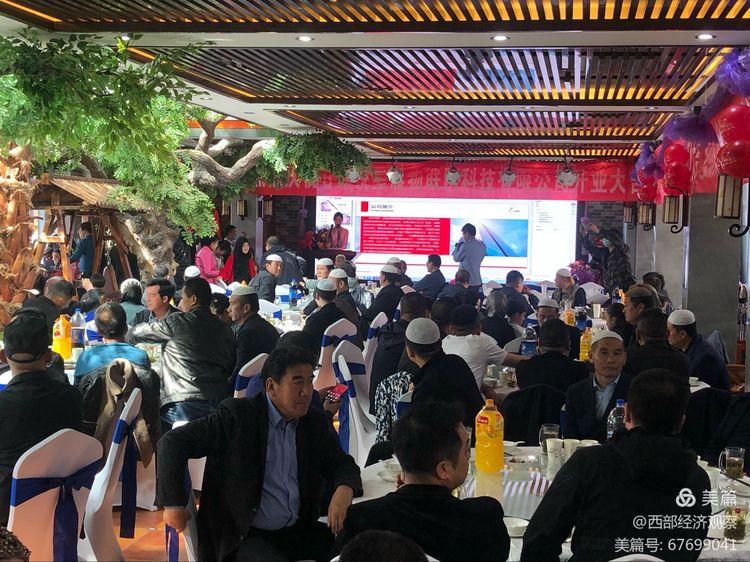 悦支付最新动态，探索未来支付创新与发展之路